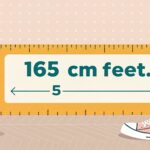 165cm to feet – Understanding the Measurement Conversion
